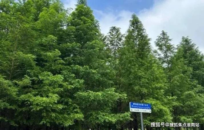 楼中心电话→楼盘百科→首页网站→楼盘百科→首页网站→24小时热线pg电子模拟器免费版太仓江南禾风云庭售楼处电话→江南禾风云庭售(图4)